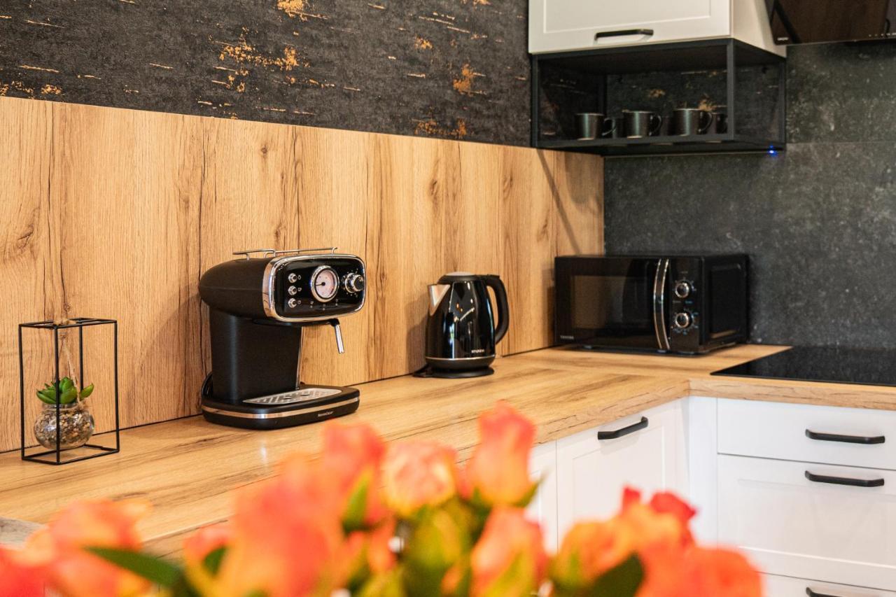 Апартаменты Apartament Duzy Staw Еленя-Гура Экстерьер фото